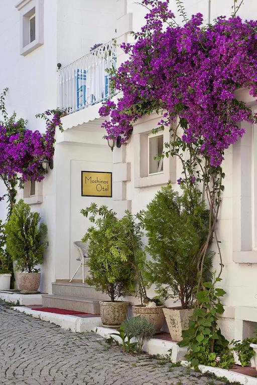 Moshinos Hotel Ayvalı Buitenkant foto